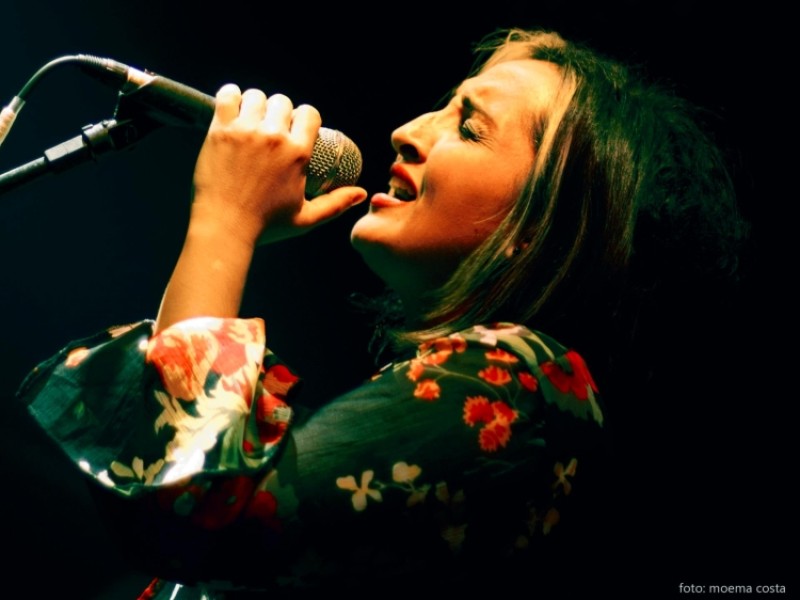 Celda Fontes